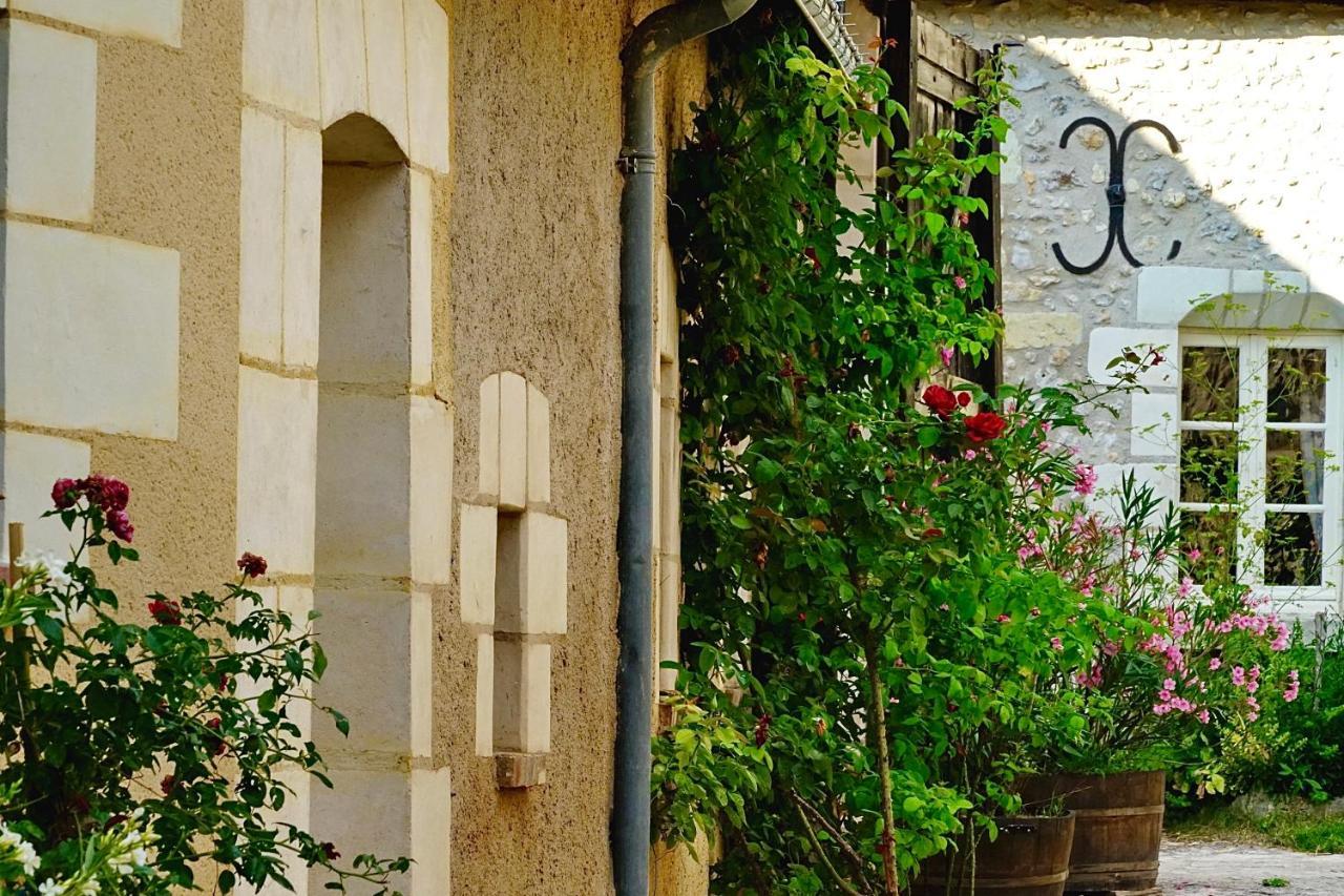Le Moulin De La Planche Bed and Breakfast Cerelles Exteriör bild
